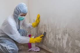 Best Biohazard Mold Removal  in Penn Estates, PA